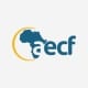 AECF (Africa Enterprise Challenge Fund)